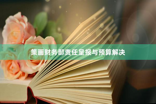 策画财务部责任呈报与预算解决